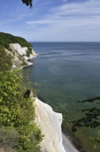 Chalk cliffs, chalk coast on the island of Rügen, Jasmund National Park, Mecklenburg-Western