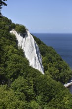 The Königsstuhl chalk cliff on Rügen, Sassnitz, Jasmund National Park, Mecklenburg-Western