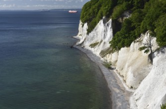 Chalk cliffs, chalk coast on the island of Rügen, Jasmund National Park, Mecklenburg-Western