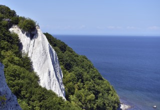 The Königsstuhl chalk cliff on Rügen, Sassnitz, Jasmund National Park, Mecklenburg-Western