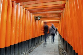 Visitors on a journey through hundreds of red traditional torii gates, Fushimi Inari-taisha, Shinto