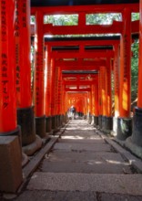 Walk through hundreds of red traditional torii gates, Fushimi Inari Taisha, Shinto Shrine, Fushimi