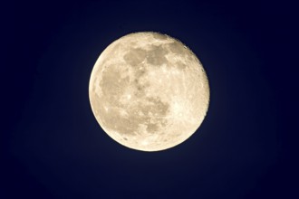 One day waning crescent after full moon, cold moon on New Year's Eve 2020, Freising, Upper Bavaria,