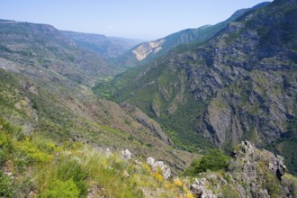 Rocky mountainside and deep valley with lush greenery under bright skies, view from the Halidzor
