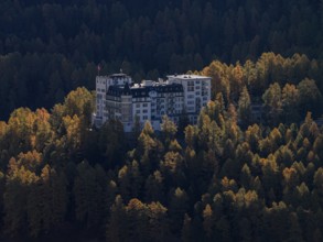 Luxury hotel, hotel, larch forest, autumn, autumn color, morning light, sunny, aerial view, back