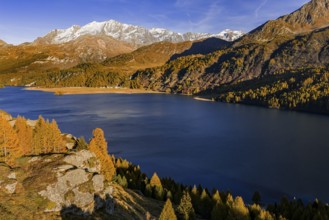 Mountain landscape, mountain lake, larch forest, autumn, autumn color, evening light, aerial view,
