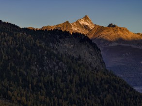 Mountain landscape, larch forest, autumn, autumn color, morning light, aerial view, Engadin,