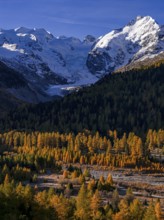 Mountain landscape, larch forest, autumn, autumn discoloration, morning light, aerial view,