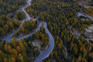 Mountain landscape, road, curvy, serpentines, larch forest, autumn, autumn discoloration, aerial