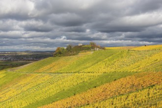 Glowing vineyards under a cloudy sky spread an autumnal atmosphere in the countryside,