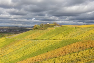 Colourful vineyards spread out under a cloudy sky. Autumn colors dominate the hilly landscape,