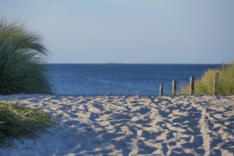 Sandweg zum Ostseestrand, Ahrenshoop, Darß, Mecklenburg-Western Pomerania, Germany