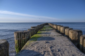 Grooves in the Baltic Sea, Ahrenshoop, Darß, Mecklenburg-Western Pomerania, Germany