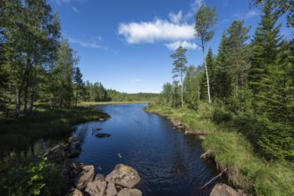 Forest lake, rocks, cloud, blue sky, near Sunne, Sweden