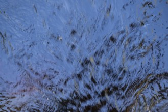Shimmering blue water surface of a stream, current, light reflections, abstraction, long exposure,