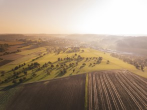 Natural landscape from the air with fields and trees at sunset, Gechingen, Germany