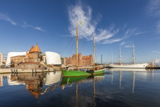 Sailing ship Petrine, a traditional sailor off Pilot House, Ozeanum and Gorch Fock I in the port of