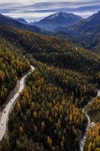 Road, curvy, mountain landscape, wild, unspoiled, coniferous forest, sunny, riverbed, autumn, larch