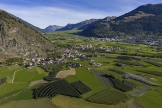 Orchard, apple growing, village, mountain landscape, sunny, autumn, aerial view, Laatsch,