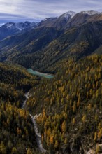 Mountain landscape, wild, untouched, coniferous forest, sunny, riverbed, autumn, larch forest,