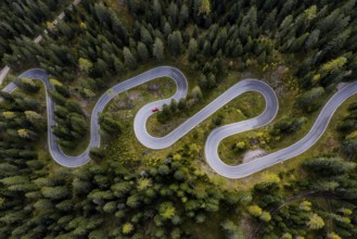 Curvy road, serpentines, pass road, forest, aerial view, car, red, Giau Pass, Dolomites, Italy