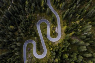 Curvy road, serpentines, pass road, forest, aerial view, Giau Pass, Dolomites, Italy