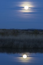 Full moon, super moon over the moor, Emsland, Lower Saxony, Germany