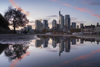 Frankfurt's banking skyline is reflected in a puddle in the evening, Frankfurt am Main, Hesse,