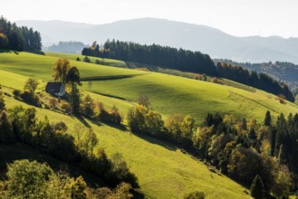Near St. Peter, Southern Black Forest, Black Forest, Baden-Württemberg, Germany