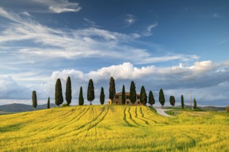 Villa i Cipressini, estate with cypresses (Cupressus), Val d'Orcia, near Pienza, Siena Province,