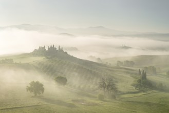 Podere Belvedere, country estate in rolling fields, morning atmosphere with early fog, San Quirico