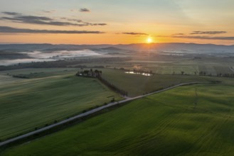 Poggio Covili estate with cypress alley (Cupressus) at sunrise, near San Quirico d'Orcia, Val
