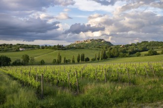 View of Montepulciano, Siena Province, Tuscany, Italy