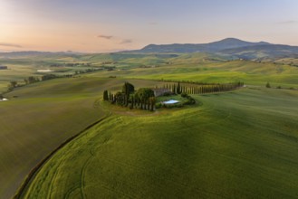 Estate with cypress alley (Cupressus) at sunrise, near San Quirico d'Orcia, Val d'Orcia, Siena