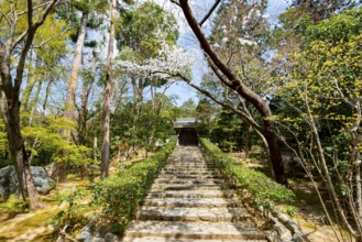 Staircase in the Japanese garden of Ryoan-ji, a Buddhist temple complex, in spring, Kyoto, Japan