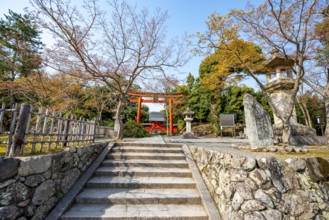 Entrance with red torii, Shogan-ji Buddhist temple complex, Sagatenryuji Susukinobabacho, Kyoto,