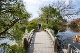 Bridge over Kyoyochi Pond in Japanese Garden, blooming cherry trees, Ryoan-ji, Zen Buddhist temple