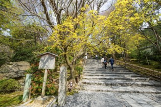 Stairs to Ryoan-ji Temple Kori Kori, Ryoan-ji, Zen Buddhist Temple Complex, Kyoto, Japan