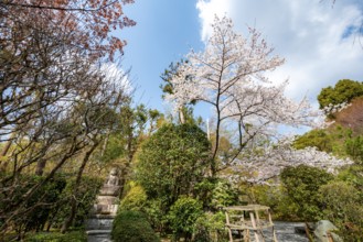 Small Buddha statue in the garden, Ryoan-ji Temple, Ryoan-ji, Zen Buddhist temple complex, Kyoto,