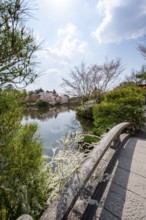 Bridge over Kyoyochi Pond in Japanese Garden, blooming cherry trees, Ryoan-ji, Zen Buddhist temple