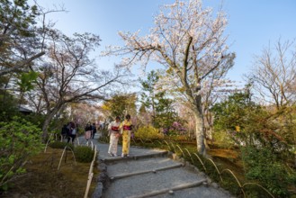 Visitors to Sogenchi Teien Japanese Garden with Blooming Cherry Trees, Tenryu-ji, Zen Buddhist