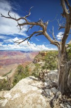 Beautiful landscape of the grand canyon, arizona