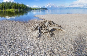 Majestic grand tetons range landscape