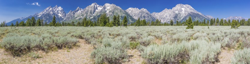 Majestic grand tetons range panorama landscape