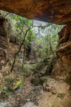 Cave entrance amidst the rainforest in the state of Minas Gerais, Brazil