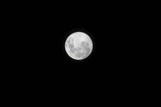 Full moon with clear sky, shot from 5.11.25, a supermoon, Buenos Aires, Argentina