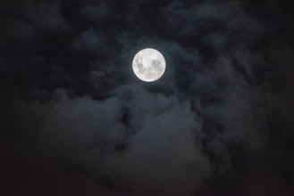 Full moon with light clouds, photo from 5.11.25, a supermoon, Buenos Aires, Argentina