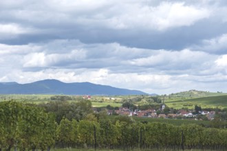 View of the wine town of Göcklingen, on the left the Palatinate Forest, on the right the Kleine