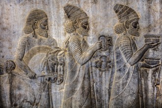 Relief detail of the delegation of peoples bringing gifts to Darius on the stairs of the Apadana