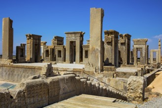 Palace of Darius, Persepolis